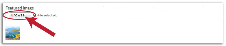 Screenshot of the Featured Image area where you can browse to put in your own photo.