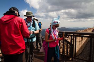 IMG_0831